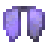 elytra